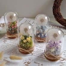 【蒲公英】軟木塞玻璃鐘罩│永生花│乾燥花