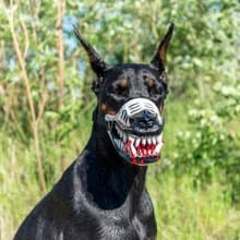 White Werewolf Dog muzzle Scary Doberman muzzles Pet Gift Halloween Costume Mask