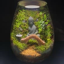 【苔療癒】豪華生態瓶DIY材料包/母親節禮物