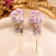 如夢似幻 漸層繡球