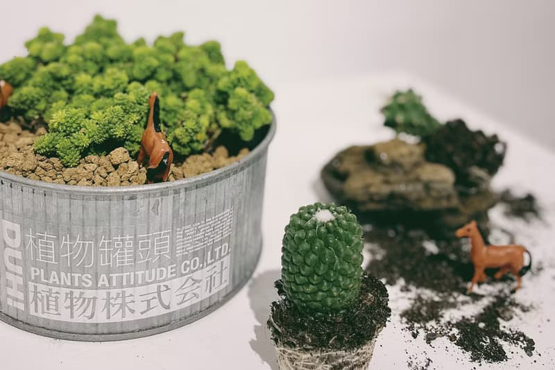 植物罐頭 植物株式会社