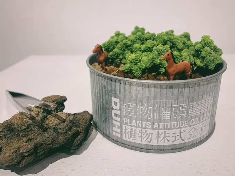 植物罐頭 植物株式会社