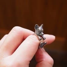 犬リング チワワ