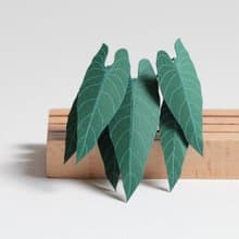 【立體植物貼紙】金葉喜林芋 (605013) FingerART紙雕紙藝術