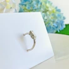 小さなカエルのフープピアス