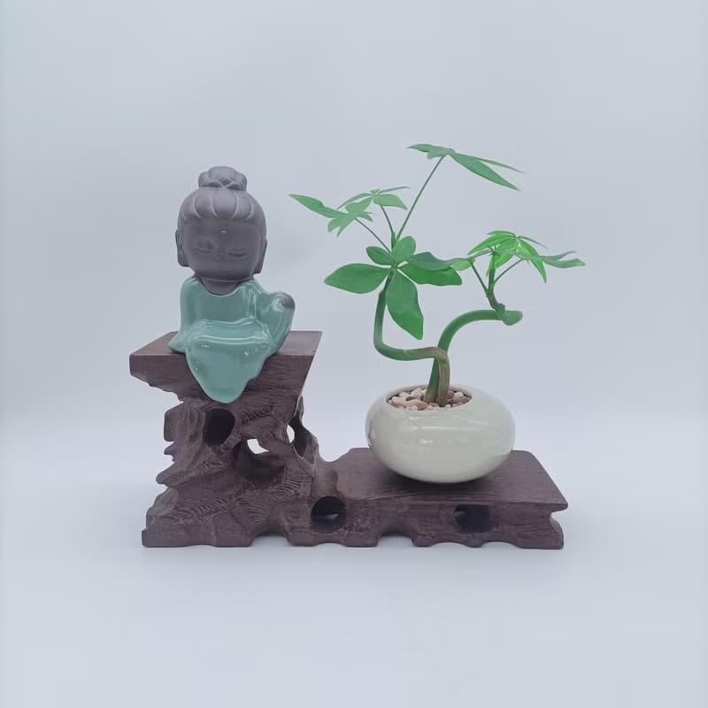 迷你招財樹