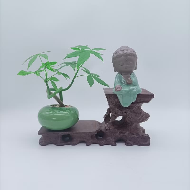 迷你招財樹