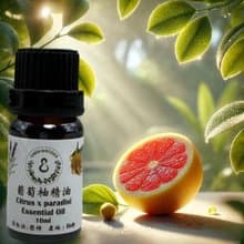 果香精油 葡萄柚精油 10/50ML 100%純精油 單方精油 贈玫瑰擴香石