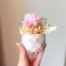 永生花康乃馨小盆栽 教師節盆栽 教師節禮物 桌上盆栽辦公桌小物