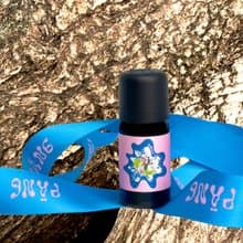 【香氛好物】複方薰香油10ml | 檳榔花夜 (擴香儀 水氧機 擴香石)