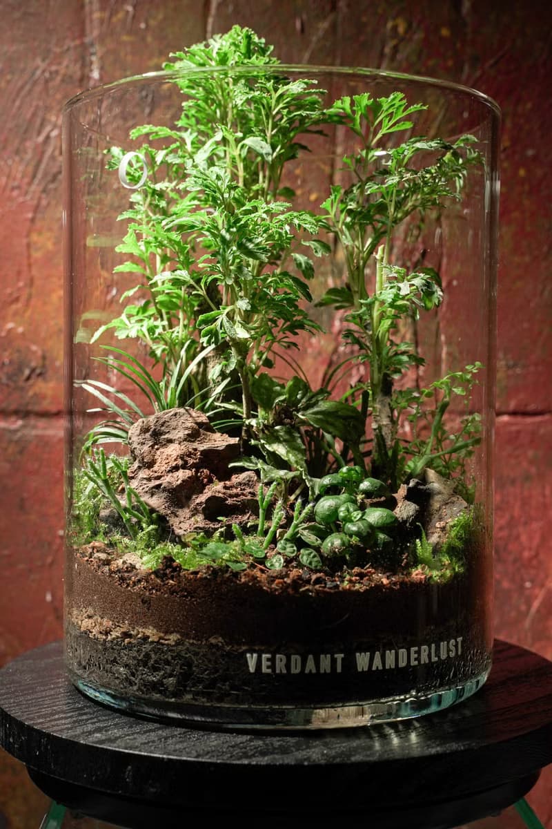 【生態缸－福氣滿庭】微景觀 室內植栽 禮物 辦公室擺設