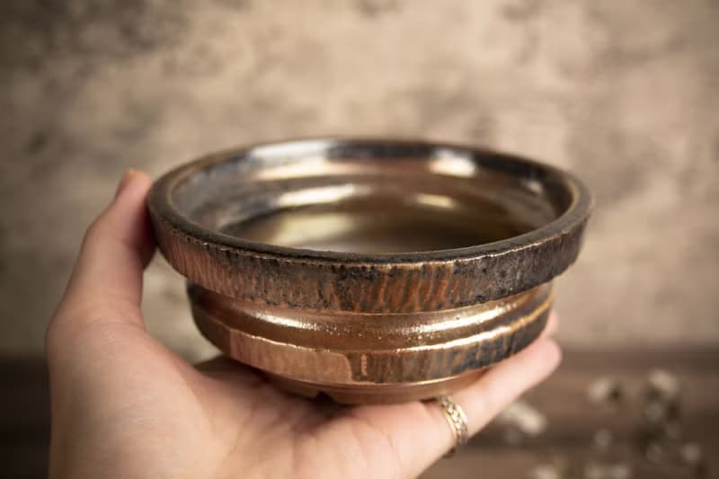 中盆∣柴燒飛刨紋∣車輪寬口盆、手工盆、陶缽、多肉塊根植物