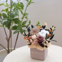 方型永生小盆花 焦糖