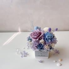 海洋之心 永生花盆花 藍與藍紫的優雅祝福 開幕祝賀花禮
