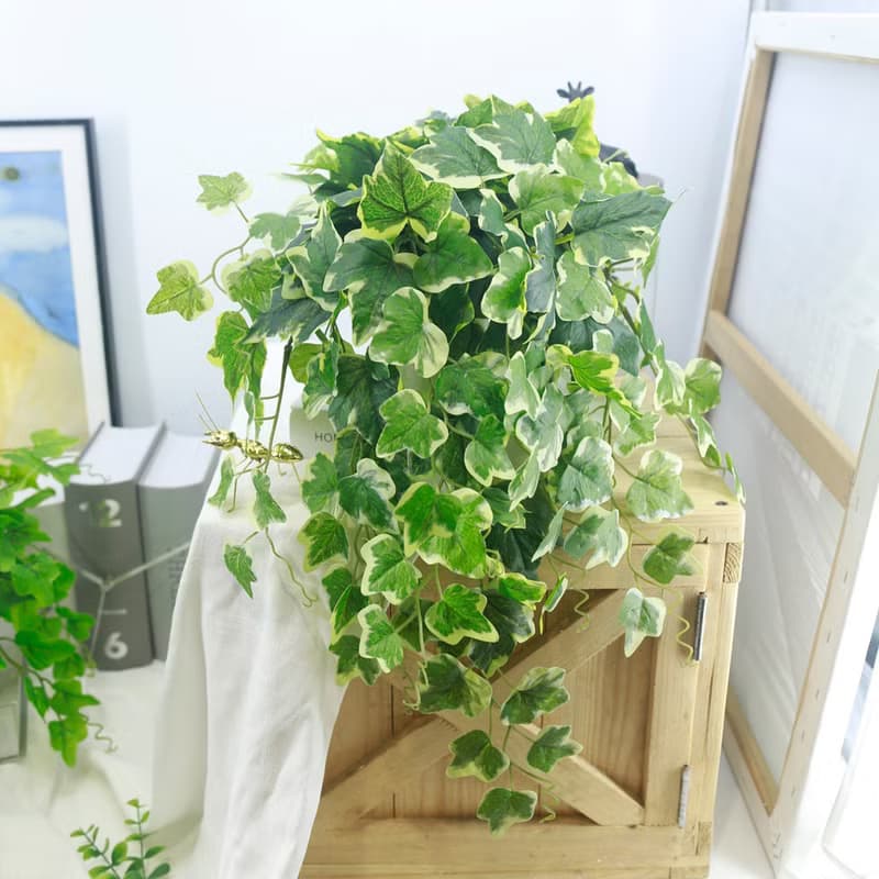 高擬真綠白邊長春藤植栽/環境綠化/擬真植栽/藤蔓植物/居家佈置