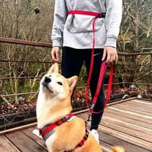 Woofy Woofy 多功能牽繩 210cm 跑步牽繩 燦爛紅 寵物牽繩 狗用