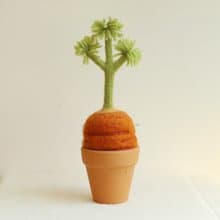 羊毛出在羊山上 羊毛氈  發芽系列 植栽 小盆栽 室內植物 紅蘿蔔