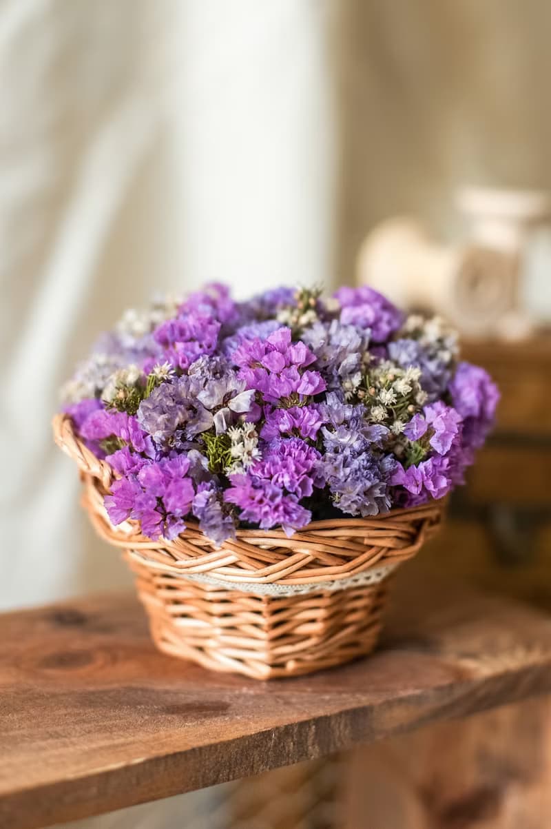 Fleurir朵朵時光.乾燥花束.花禮 不凋花.母親節花禮 開幕花禮