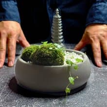 自然苔玉美學 / 文昌 / 侘寂風 / 禪風 / 盆栽 / 擺飾