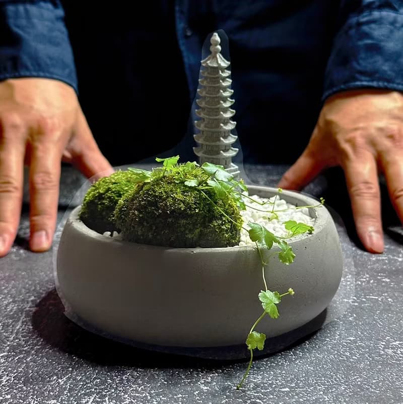 自然苔玉美學 / 文昌 / 侘寂風 / 禪風 / 盆栽 / 擺飾