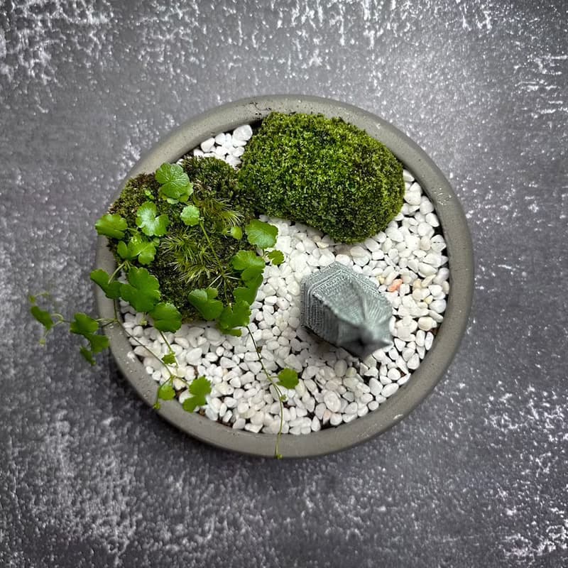 自然苔玉美學 / 文昌 / 侘寂風 / 禪風 / 盆栽 / 擺飾