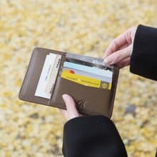 Mars (Cedar): Cow Leather, Multi-Purpose Case & Passport Holder, Slim, Comapct