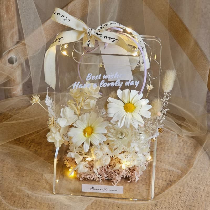 永生花 花草櫥窗系列 / 純白小雛菊