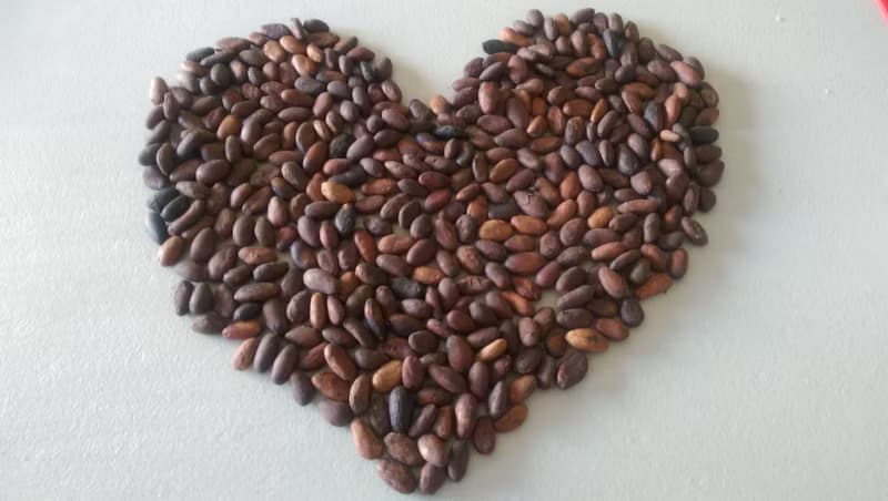 CACAOinN現磨調溫_綜合產地85%純巧薄片16入_售價NT840手感包裝