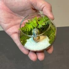 大象馬戲團 / 超迷你掌上型手工微景觀生態盆