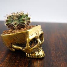 Skull pots cactus small potted plants in brass gold color  Handcrafted from
