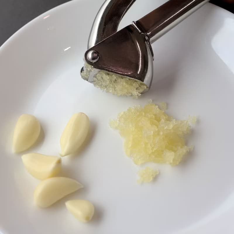 日本【SALUS 佐藤金屬】碎大蒜器-三角型