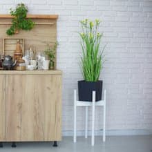 Modern White Wood Plant Stand - Mid Century Decor for Living Room Office Bedroom