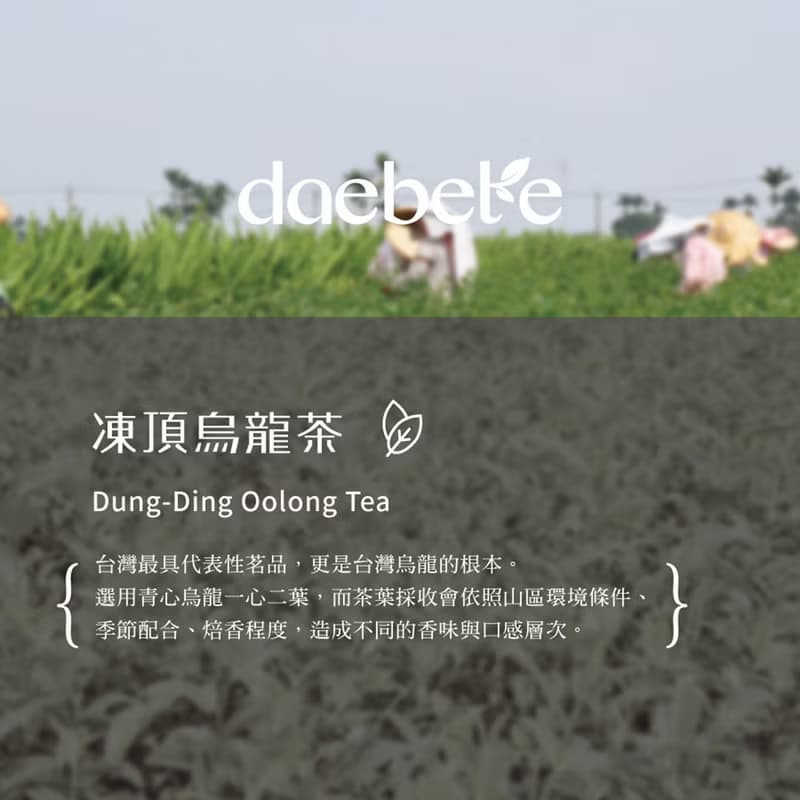 【daebete】凍頂烏龍茶 手工摘採 (7g*10包)│快速出貨
