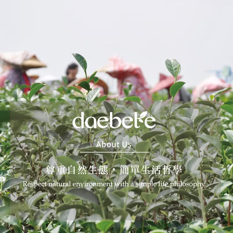 【daebete】凍頂烏龍茶 手工摘採 (7g*10包)│快速出貨