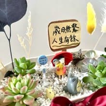 多肉組盆 多肉植物 日式枯山水 龍貓 小梅 公車亭 吉卜力植物盆栽