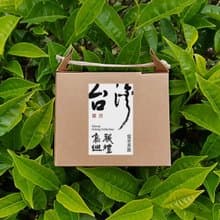 烏龍巡禮 | 茶包12入【台灣特色烏龍】