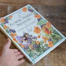花仙子珍藏集/老書/古書/圖鑑/花藝/小仙子/古典