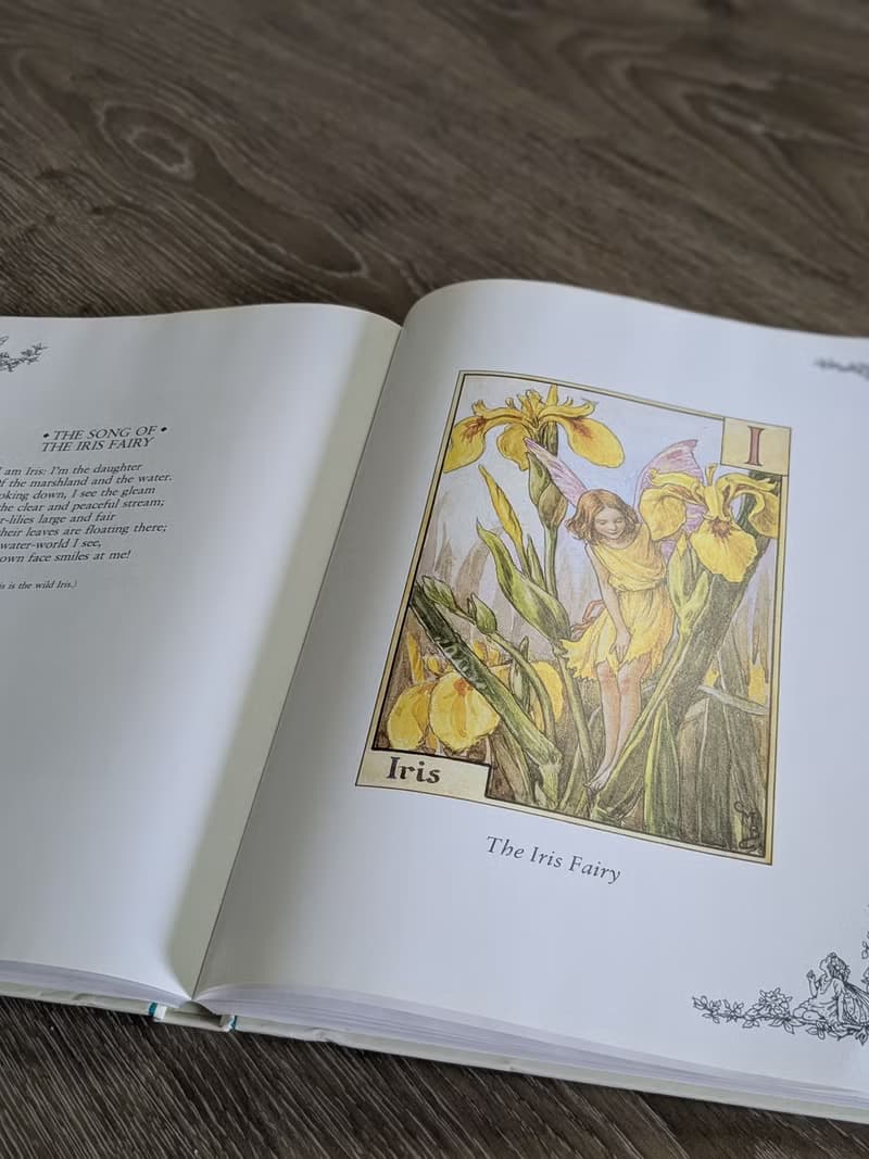 花仙子珍藏集/老書/古書/圖鑑/花藝/小仙子/古典