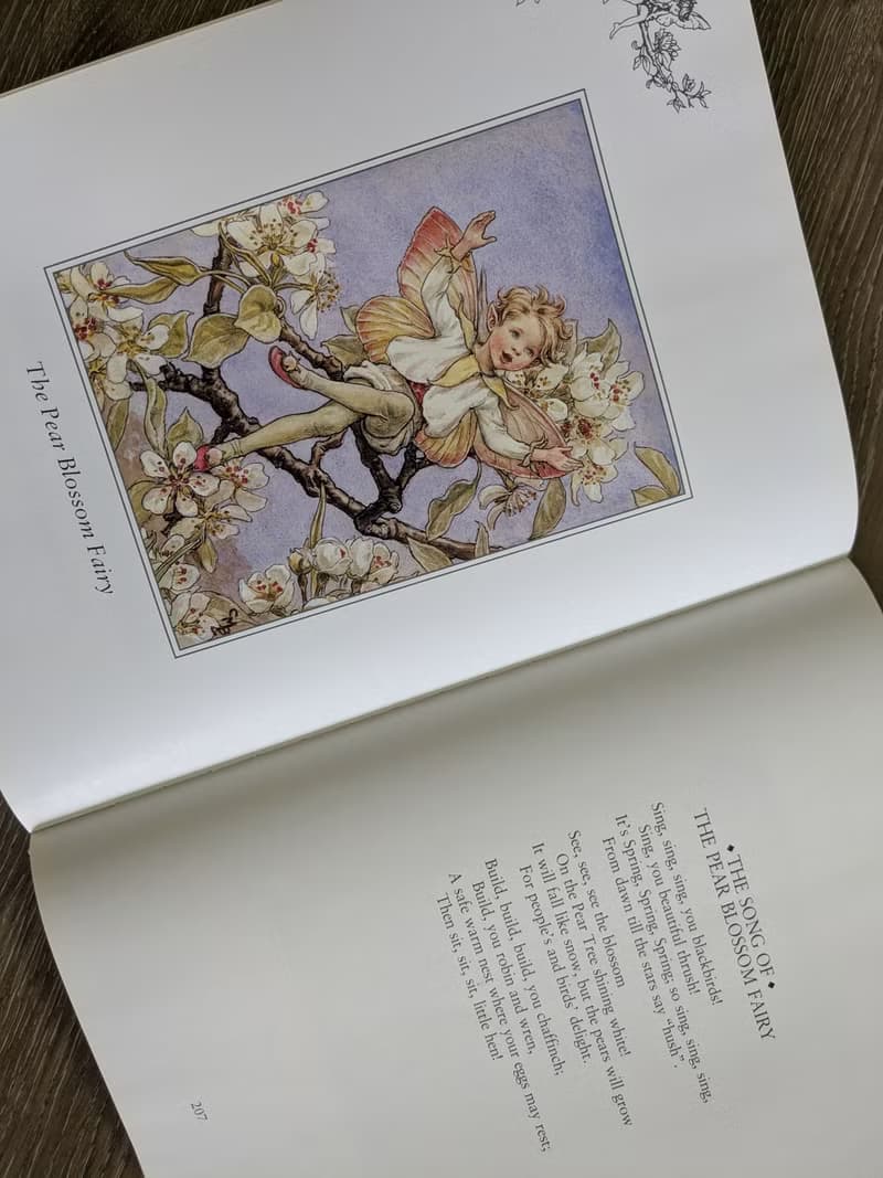 花仙子珍藏集/老書/古書/圖鑑/花藝/小仙子/古典