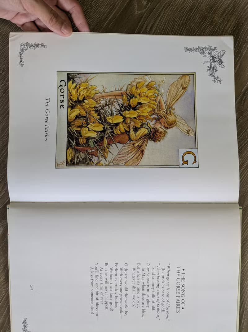 花仙子珍藏集/老書/古書/圖鑑/花藝/小仙子/古典