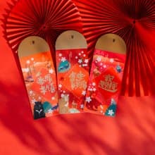 台灣紀念品│自由精神淬鍊-民主之心 紅包袋組【一組3款】