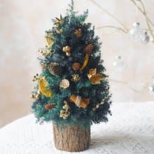 橙香永生聖誕小樹  聖誕 禮物 交換禮物 聖誕樹