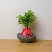 墨綠方形接水盤 苔球盤 苔球碟 托盤 花盆 陶瓷盆 桌面擺件