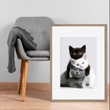 裝飾畫-附畫框 | 貓| 入厝禮| 掛畫| 民宿佈置| 海報