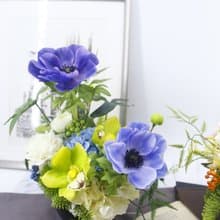 白頭翁東亞蘭香氛花禮/入厝禮/開幕/喬遷/送禮/植栽