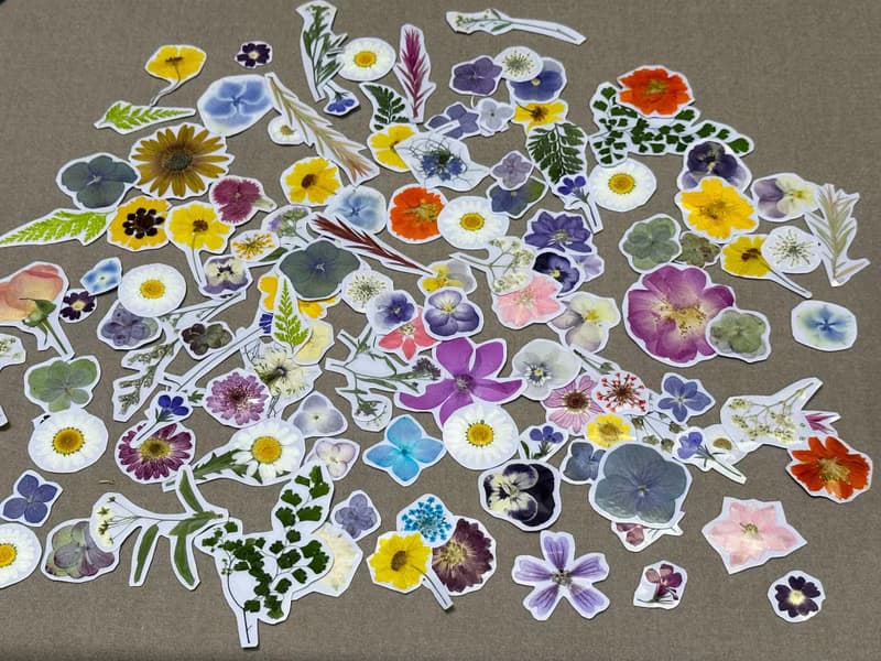 【DIY畢業禮物】押花貼紙DIY材料包+線上教學