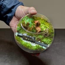 越嶺者 / 手工微景觀生態盆