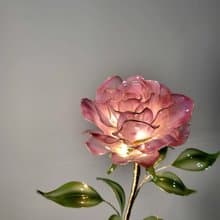 【誕生花燈】2月・玫瑰花。小夜燈。生日禮物