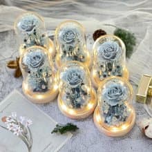 Rosemary小小花園玻璃罩珍藏款  永生花/情人節/生日/畢業/禮物