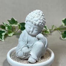 佛像擺飾 淨念吉祥小佛之悟道 小盤套組  佛 公仔 擴香